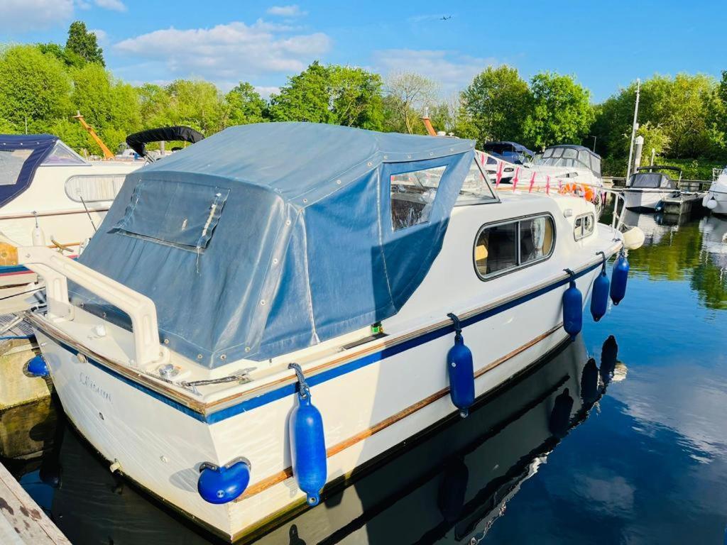 Buoyant Breaks Hotel Bray Eksteriør billede